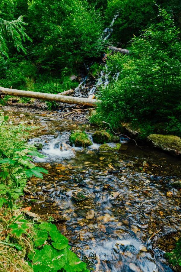 Apartman U Vlka - Hubertus, Karlova Studánka Zewnętrze zdjęcie