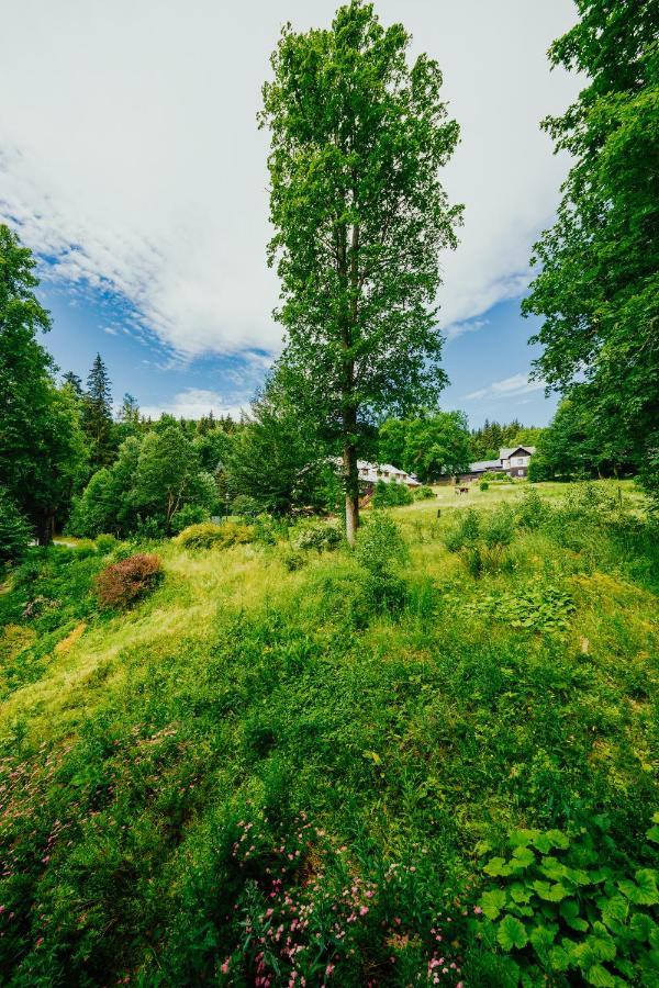 Apartman U Vlka - Hubertus, Karlova Studánka Zewnętrze zdjęcie